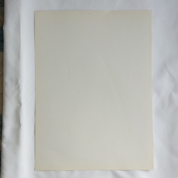 VINTAGE VOGUE POSTER SUMMER HOMES AND THEIR FURNISHINGS MAY 15 1913 - Picture 6 of 10